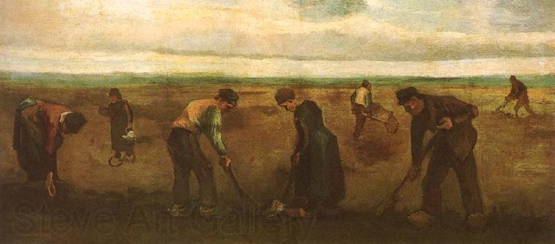 Vincent Van Gogh Farmers Planting Potatoes (nn04) Spain oil painting art